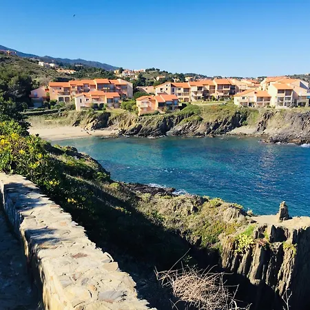 Joli D'oli, Pieds Dans L'eau, Vendres, Collioure Proche Toutes Commodités Port Vendres