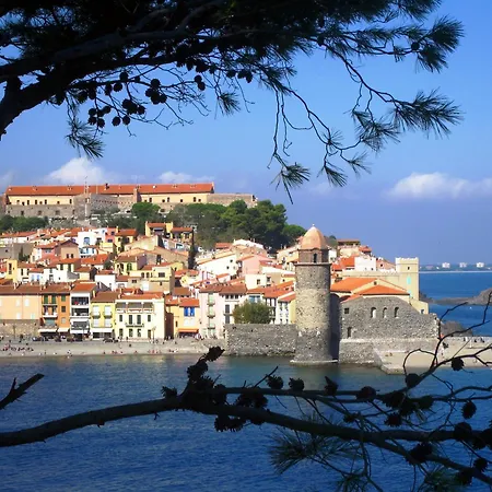 Joli D'oli, Pieds Dans L'eau, Vendres, Collioure Proche Toutes Commodités *