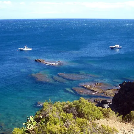 Joli D'oli, Pieds Dans L'eau, Vendres, Collioure Proche Toutes Commodités Port Vendres