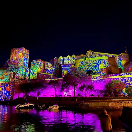 Appartamento Joli D'oli, Pieds Dans L'eau, Vendres, Collioure Proche Toutes Commodités