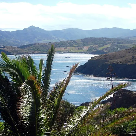 Joli D'oli, Pieds Dans L'eau, Vendres, Collioure Proche Toutes Commodités Appartamento *