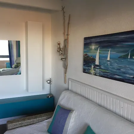 Joli D'oli, Pieds Dans L'eau, Vendres, Collioure Proche Toutes Commodites