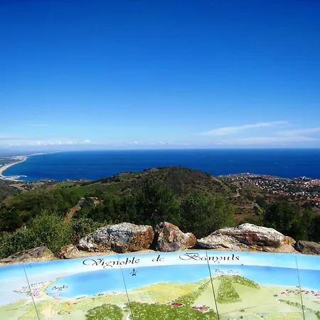 Joli D'oli, Pieds Dans L'eau, Vendres, Collioure Proche Toutes Commodites *
