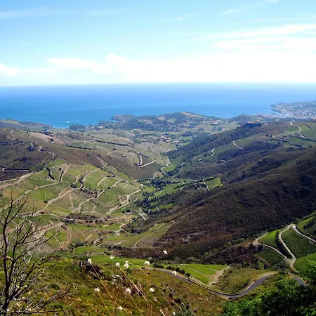 アパート Joli D'oli, Pieds Dans L'eau, Vendres, Collioure Proche Toutes Commodites