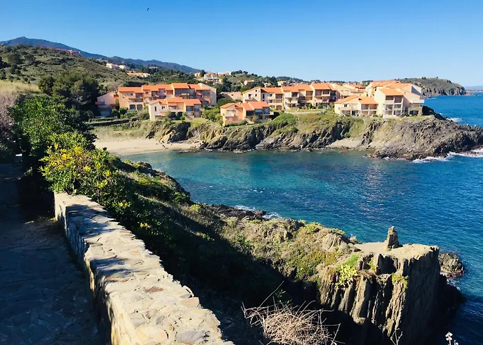 Joli D'oli, Pieds Dans L'eau, Vendres, Collioure Proche Toutes Commodites Port Vendres
