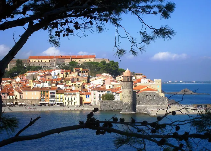 Joli D'oli, Pieds Dans L'eau, Vendres, Collioure Proche Toutes Commodites *